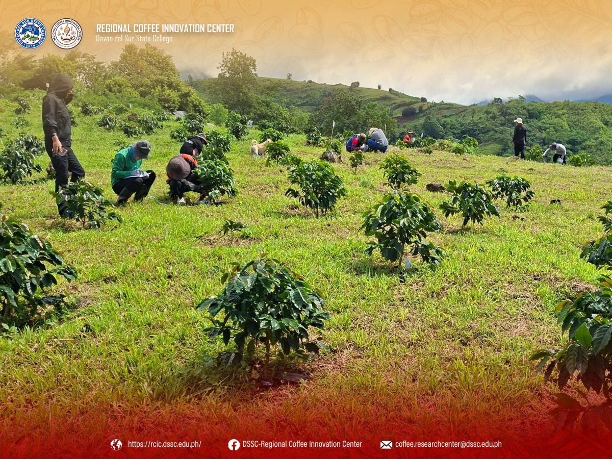 RCIC Conducts Field Data Gathering for Coffee Research